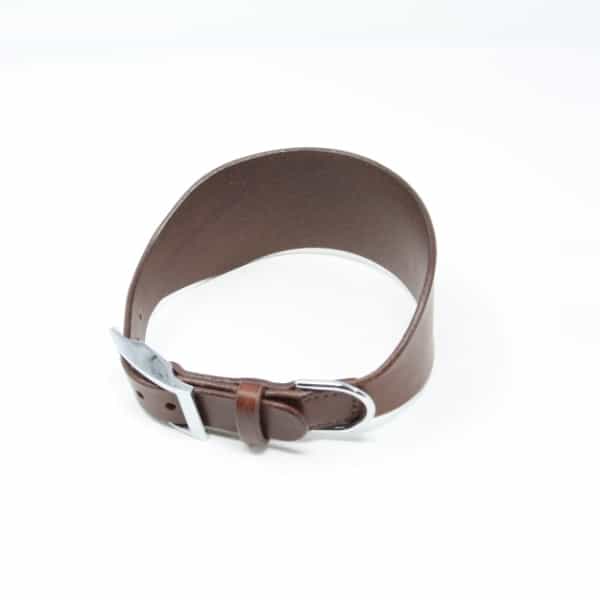 Brown leather greyhound collar with silver buckle