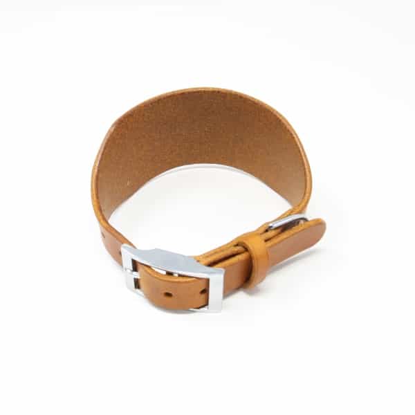 Tan leather greyhound collar with silver buckle