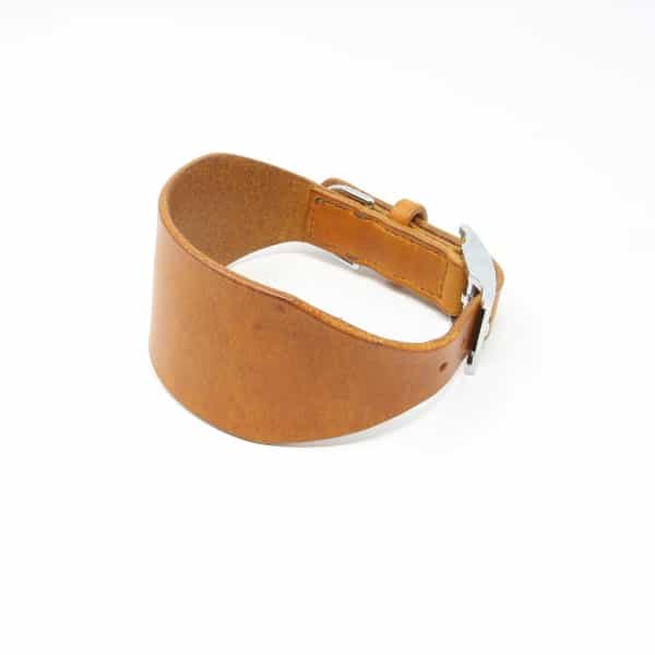 Tan leather greyhound collar with silver buckle