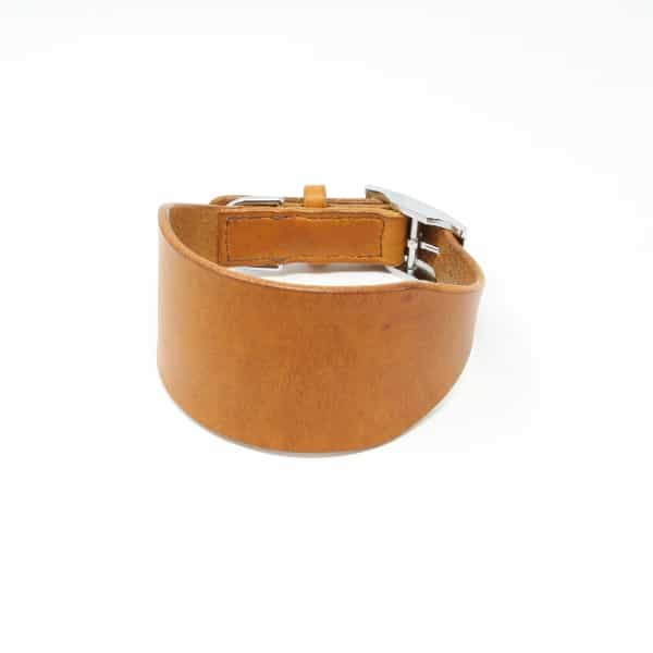 Tan leather greyhound collar with silver buckle