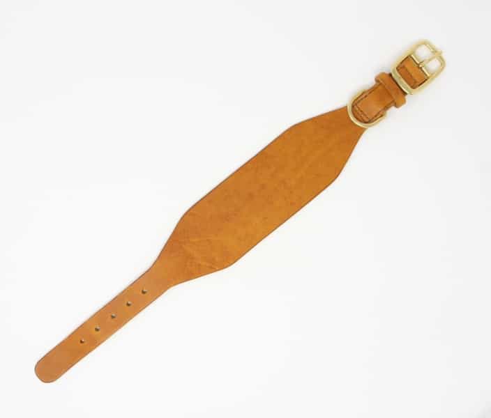 Tan leather greyhound collar with brass buckle layed out flat