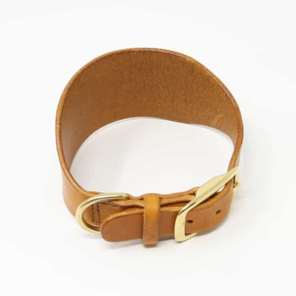 Tan leather greyhound collar with brass buckle fastened back view