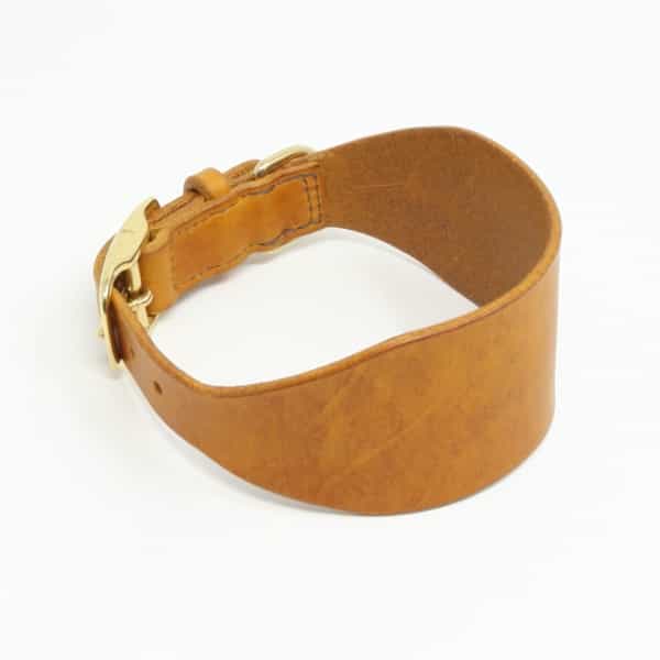 Tan leather greyhound collar with brass buckle closed side view