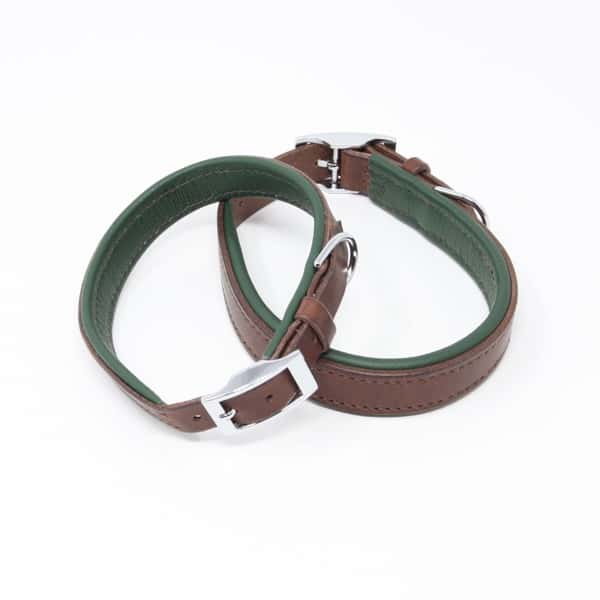 Padded dog collar with green padded lining and nickel buckle