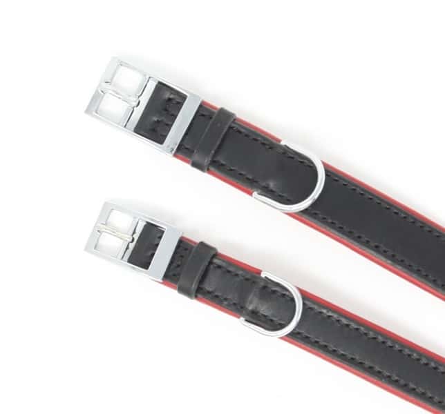 Nickle buckle detail of padded leather dog collar in black and red