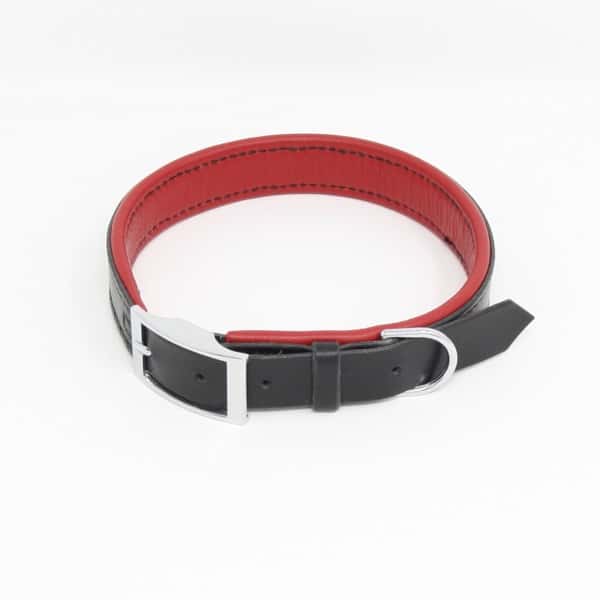 Padded leather dog collar in black and read with nickel buckle