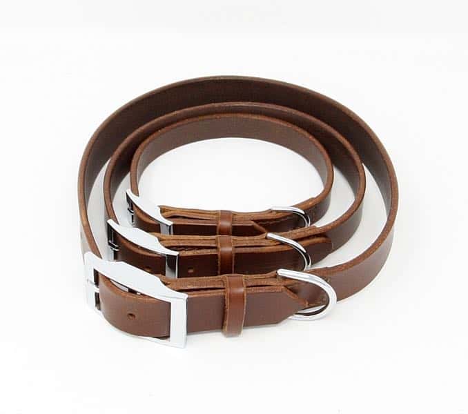 Plain leather dog collars with nickel buckles