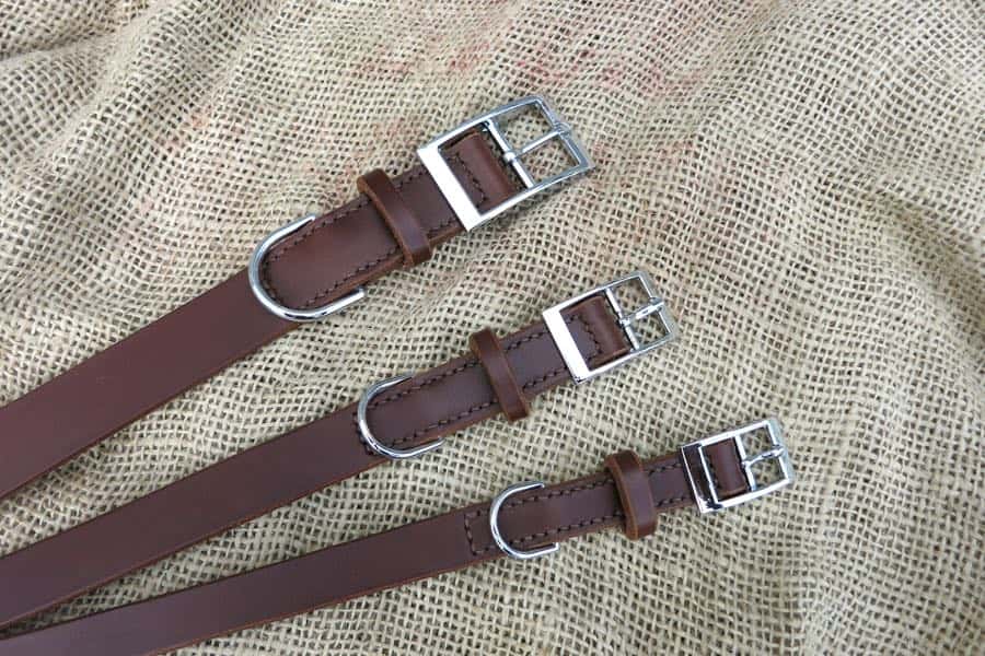 Plain leather dog collars with nickel buckles