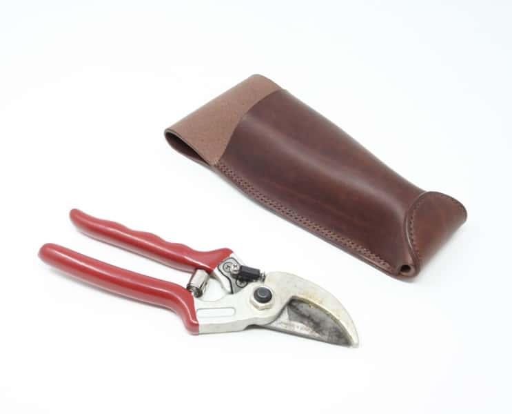 Leather secateurs holster next to secateurs